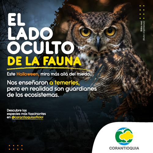El lado oculto de la fauna