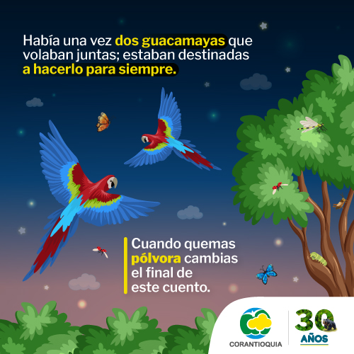 Cuando quemas pólvora cambias el final de este cuento. Clic aquí