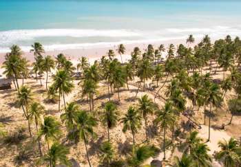 Imbassai se destaca como un destino elegido por quienes buscan tranquilidad y belleza tropical en el norte brasileño